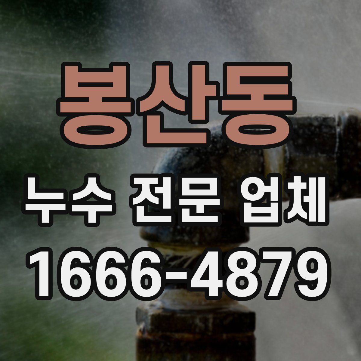 봉산동 누수 전문 업체