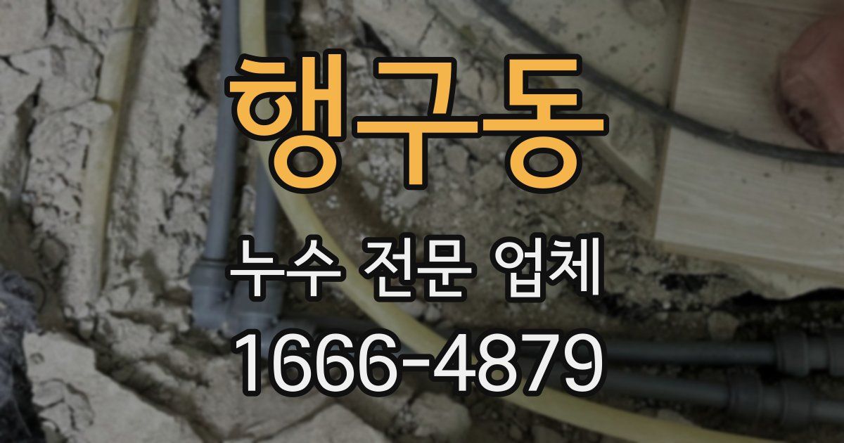 행구동 누수 전문 업체