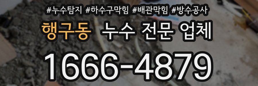 행구동 누수 전문 업체
