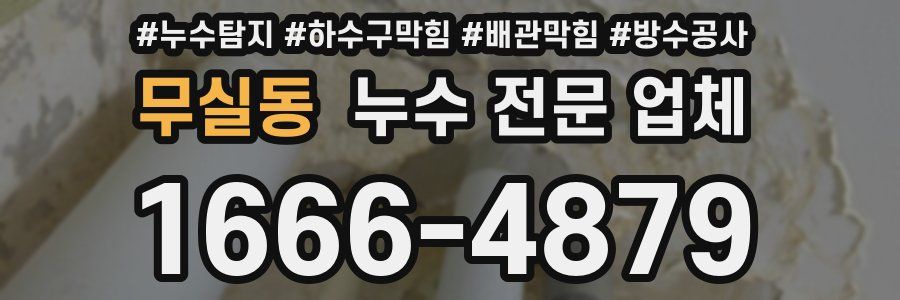 무실동 누수 전문 업체