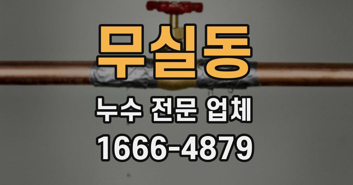 무실동 누수 전문 업체