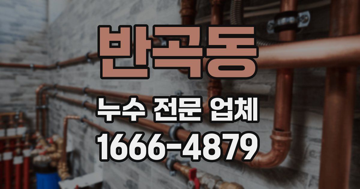반곡동 누수 전문 업체