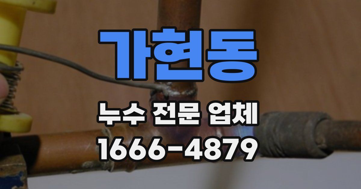 가현동 누수 전문 업체