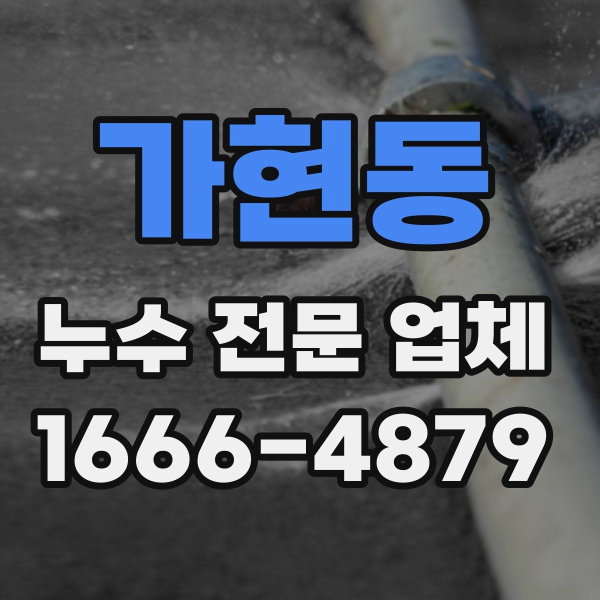 가현동 누수 전문 업체