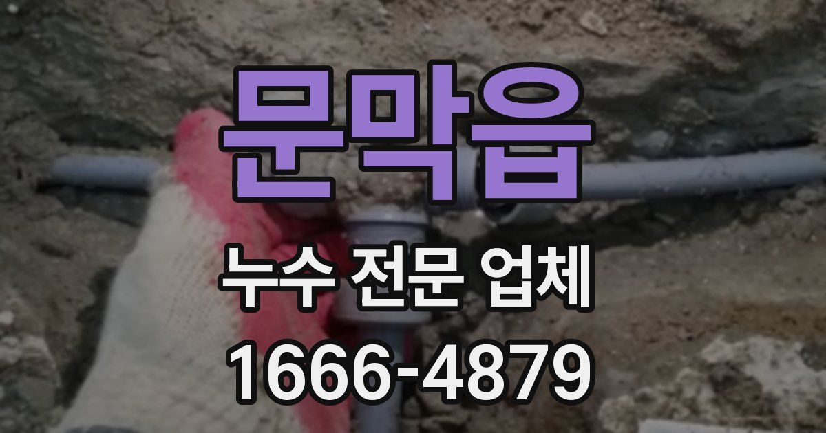 문막읍 누수 전문 업체