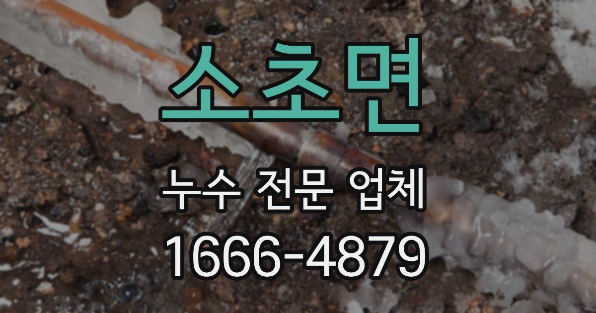 소초면 누수 전문 업체