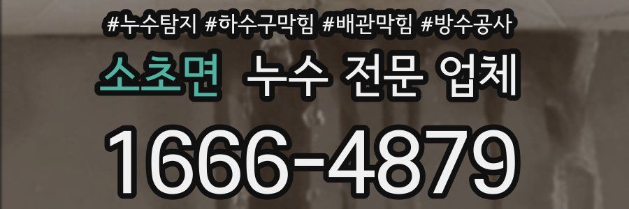 소초면 누수 전문 업체