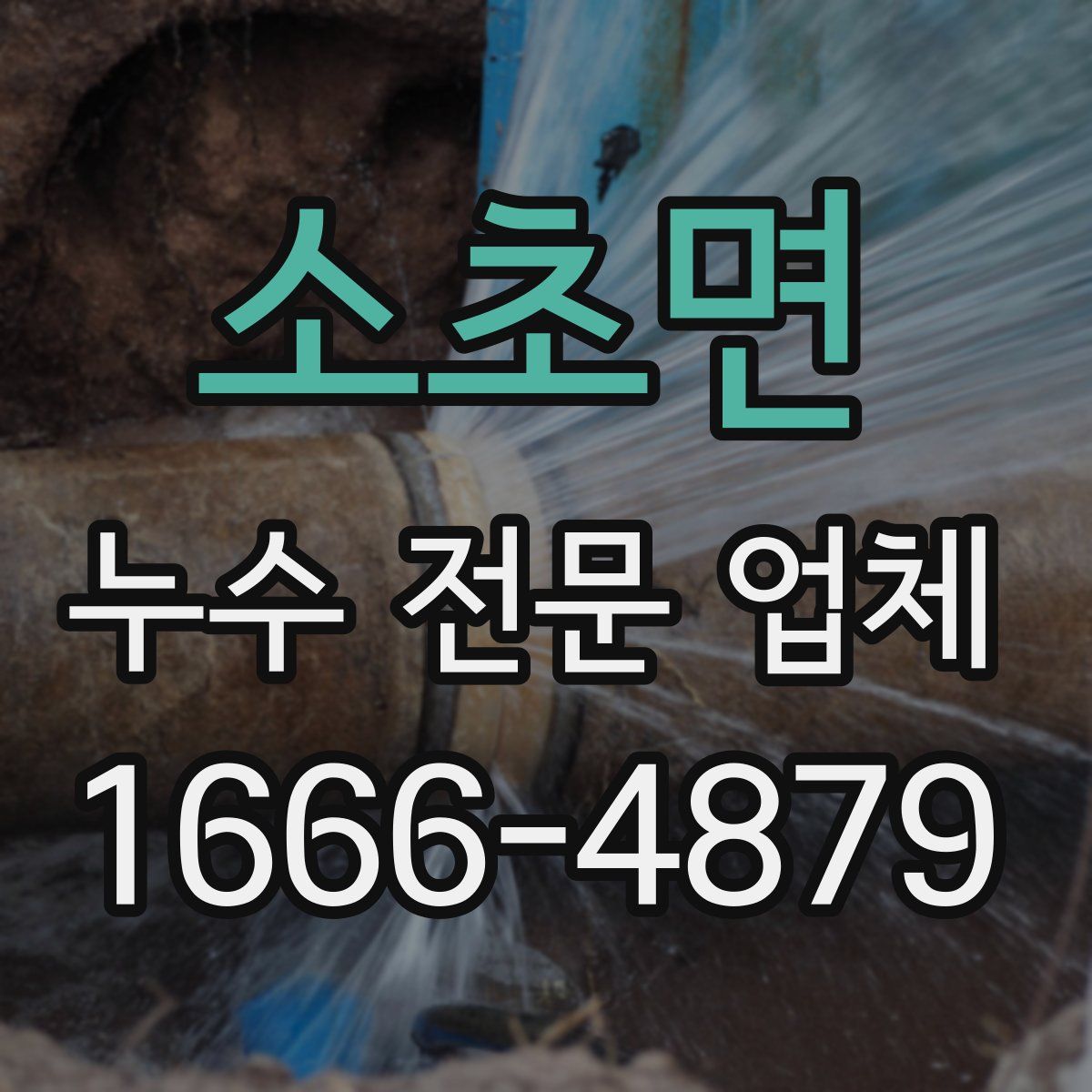 소초면 누수 전문 업체