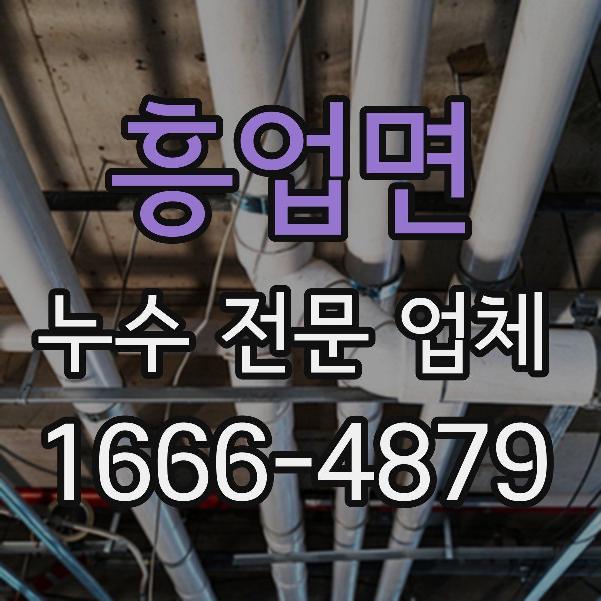 흥업면 누수 전문 업체