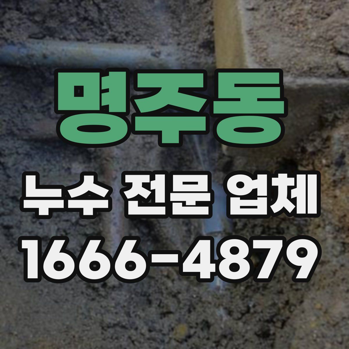 명주동 누수 전문 업체