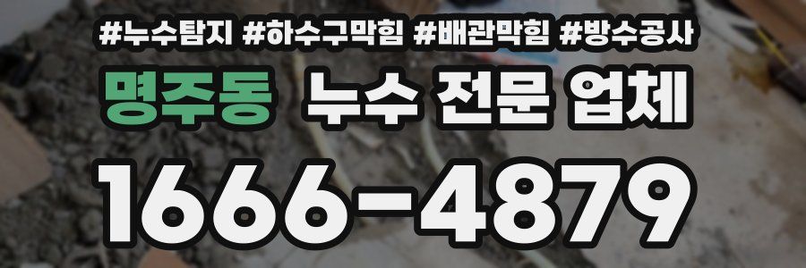 명주동 누수 전문 업체