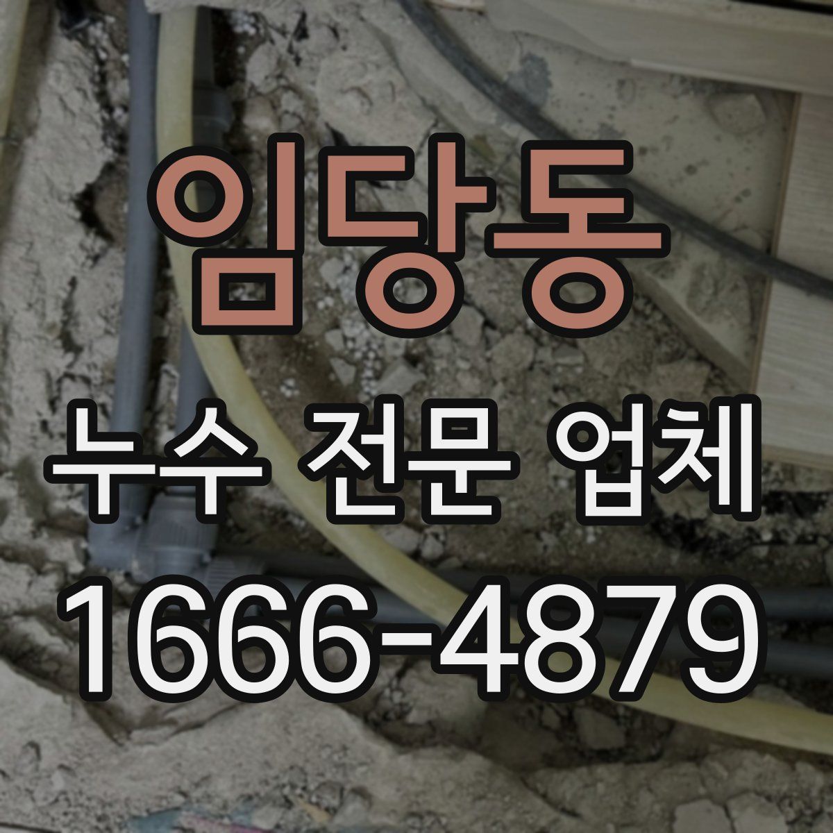 임당동 누수 전문 업체