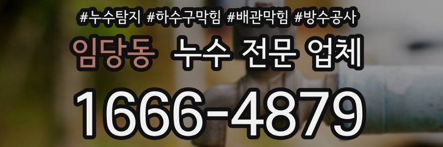 임당동 누수 전문 업체