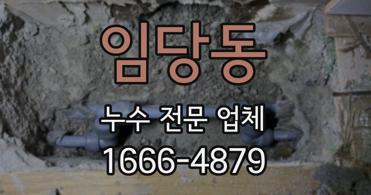임당동 누수 전문 업체
