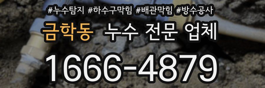 금학동 누수 전문 업체