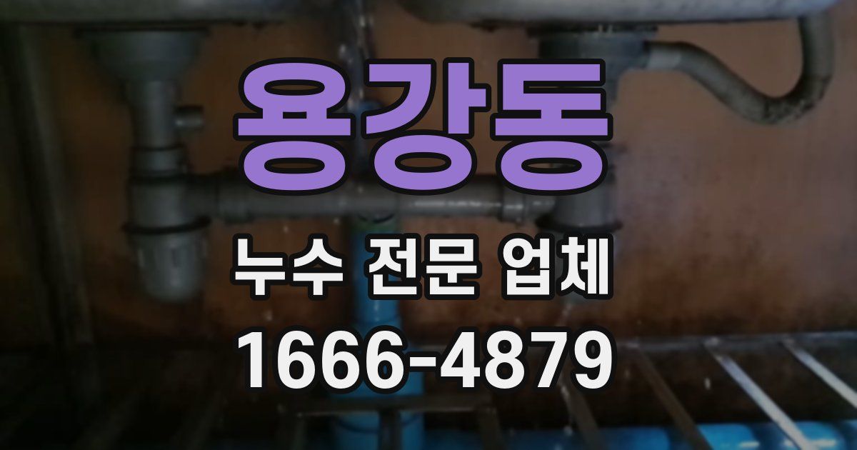 용강동 누수 전문 업체
