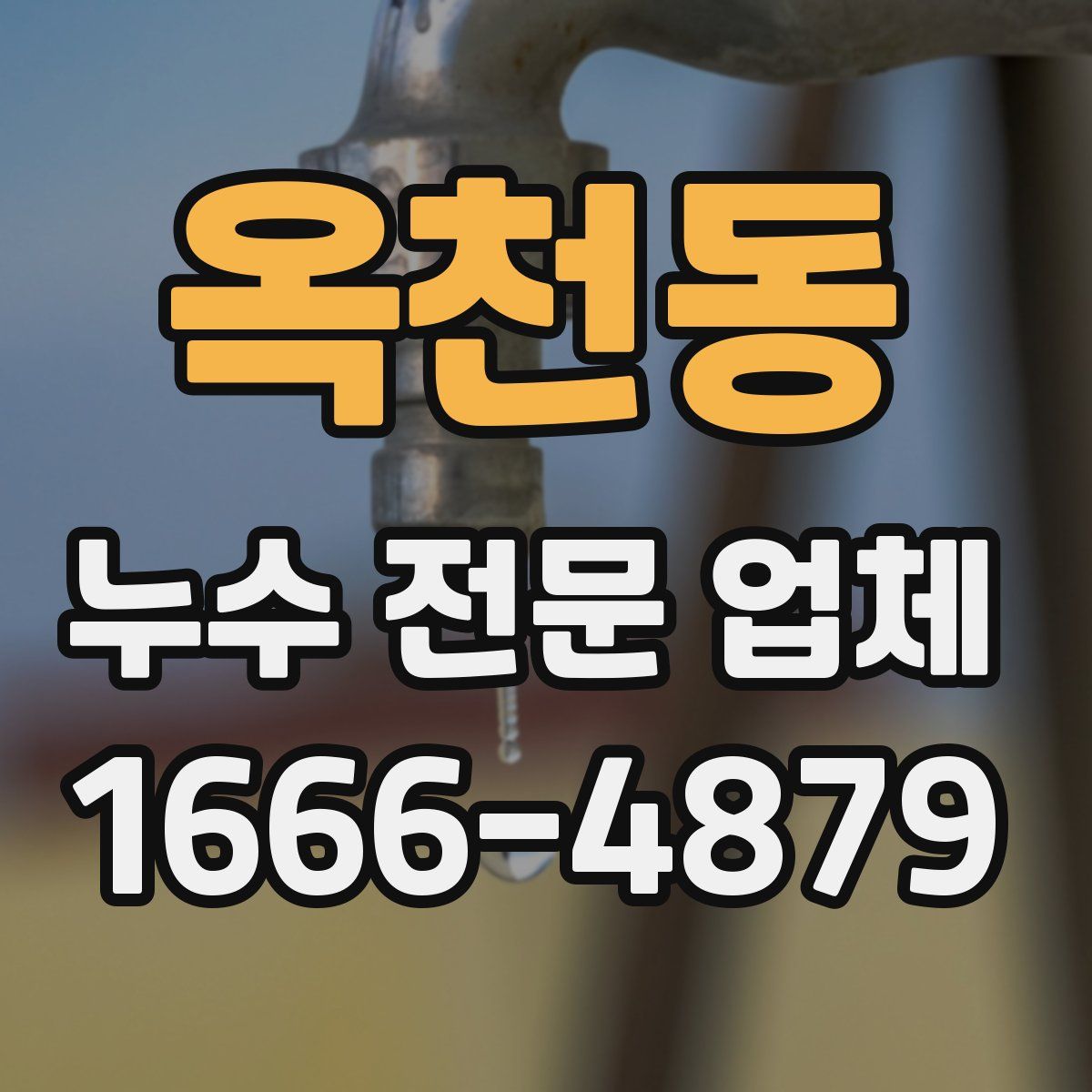 옥천동 누수 전문 업체
