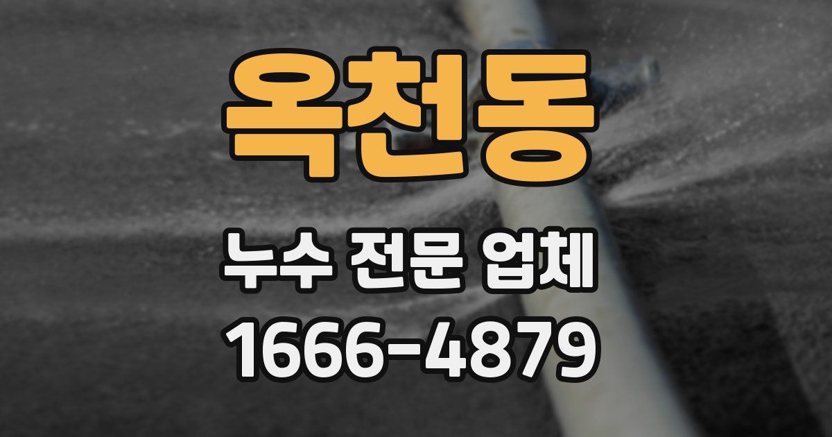 옥천동 누수 전문 업체