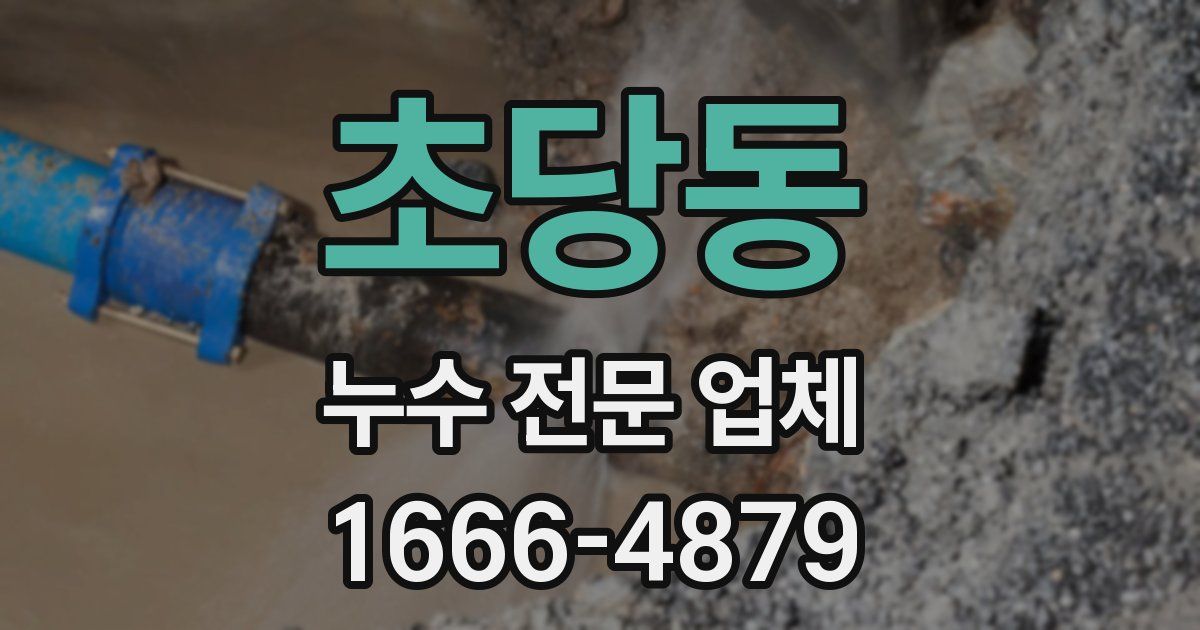 초당동 누수 전문 업체
