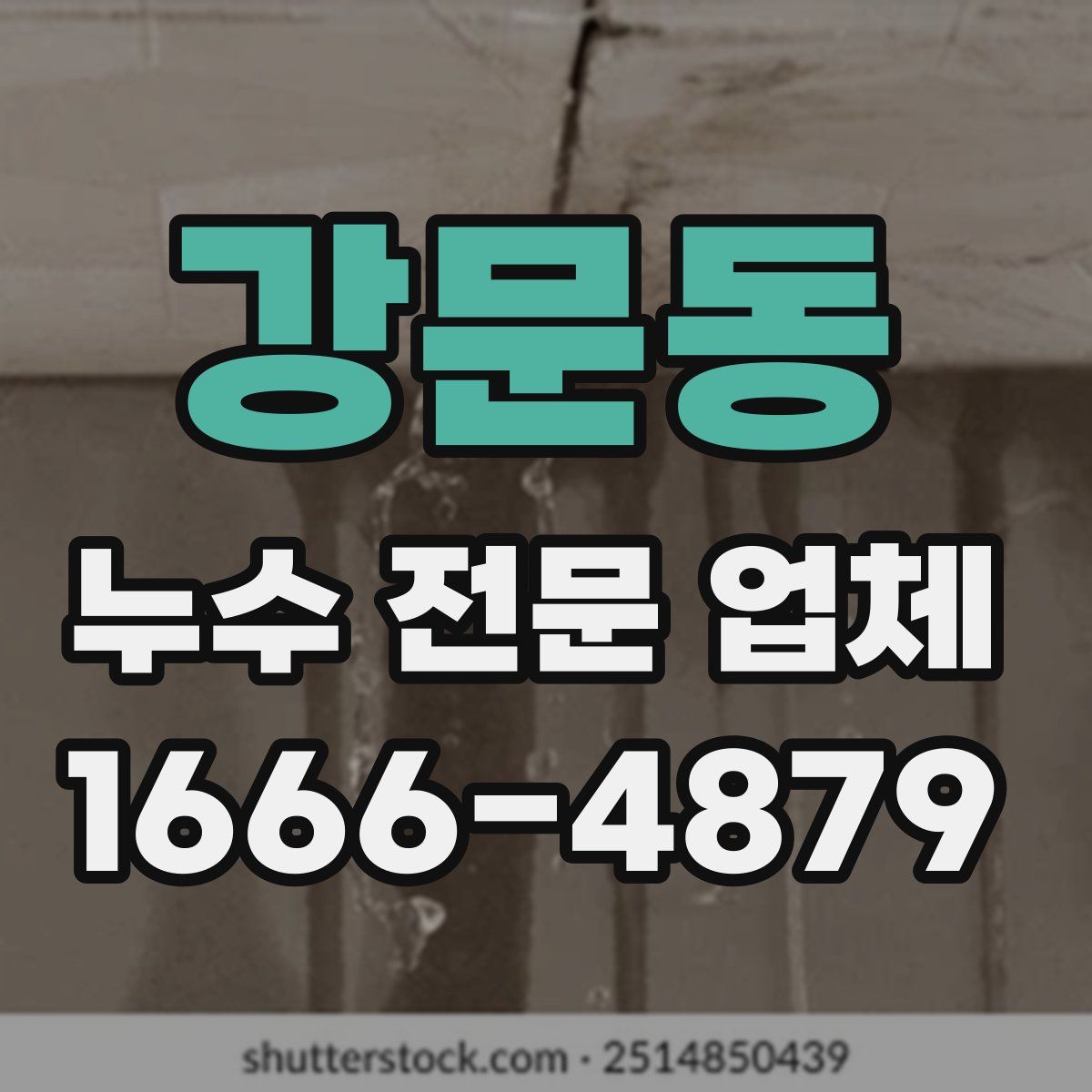 강문동 누수 전문 업체
