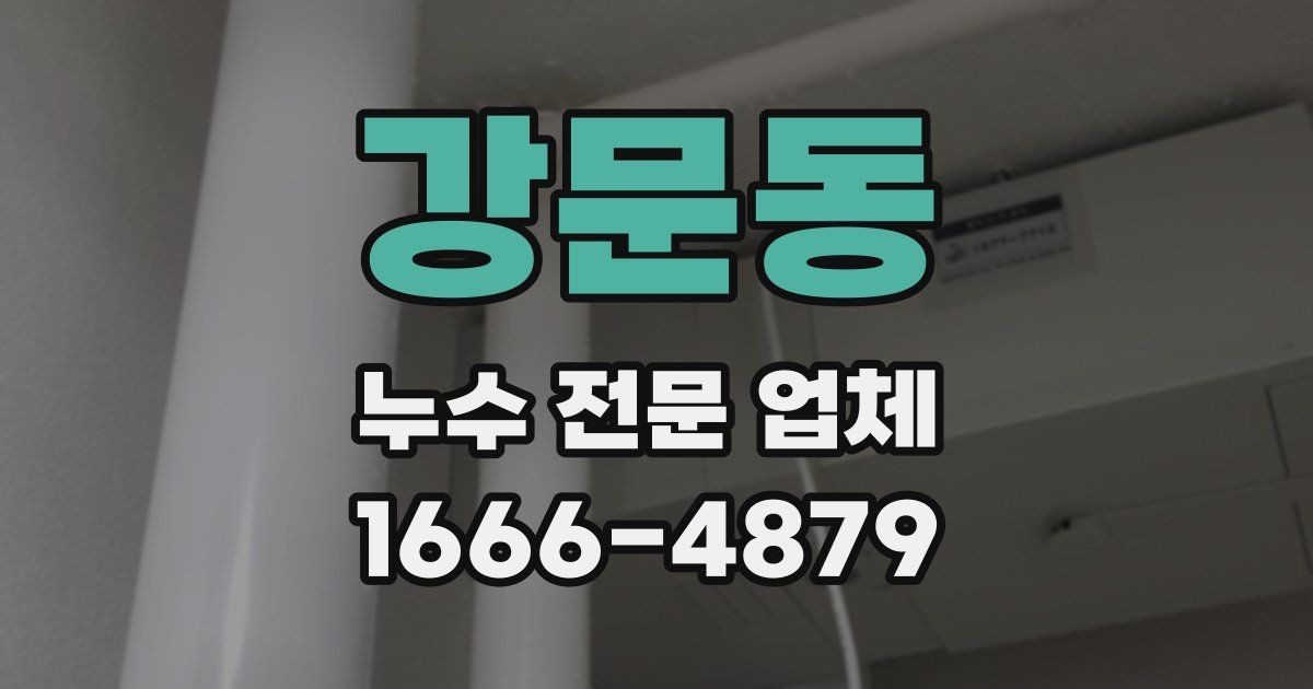 강문동 누수 전문 업체