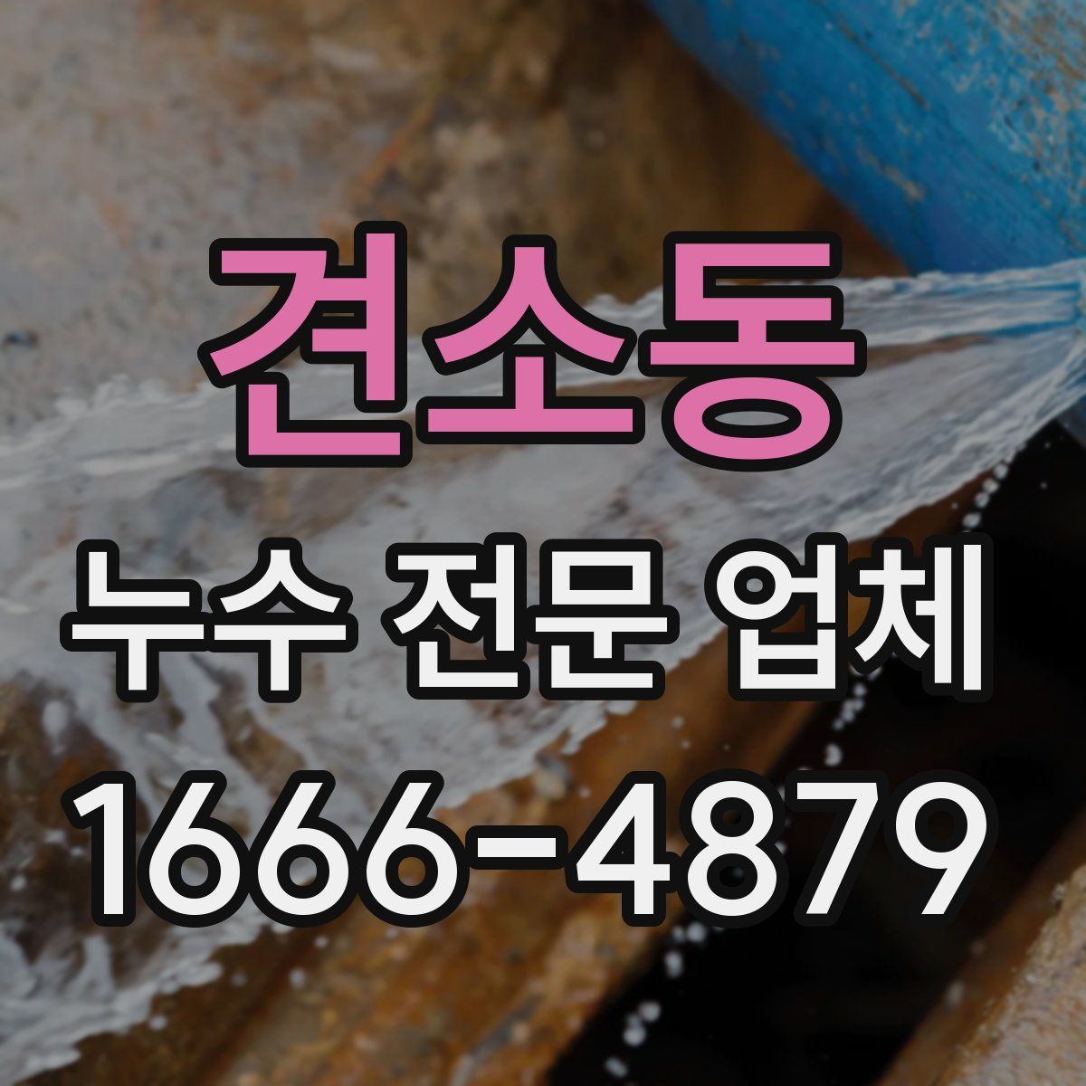 견소동 누수 전문 업체