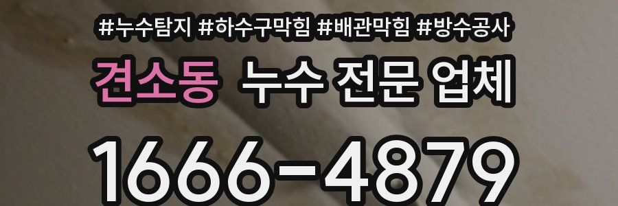 견소동 누수 전문 업체
