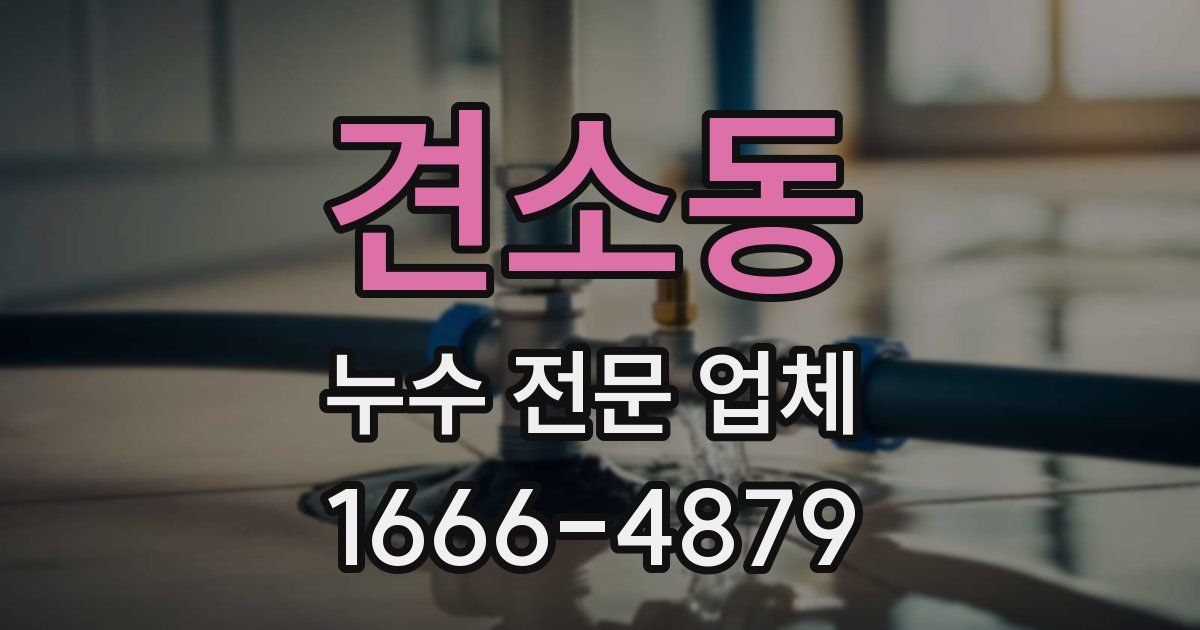 견소동 누수 전문 업체