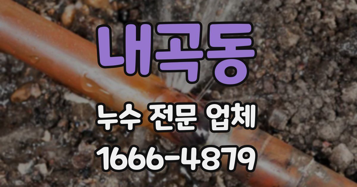 내곡동 누수 전문 업체