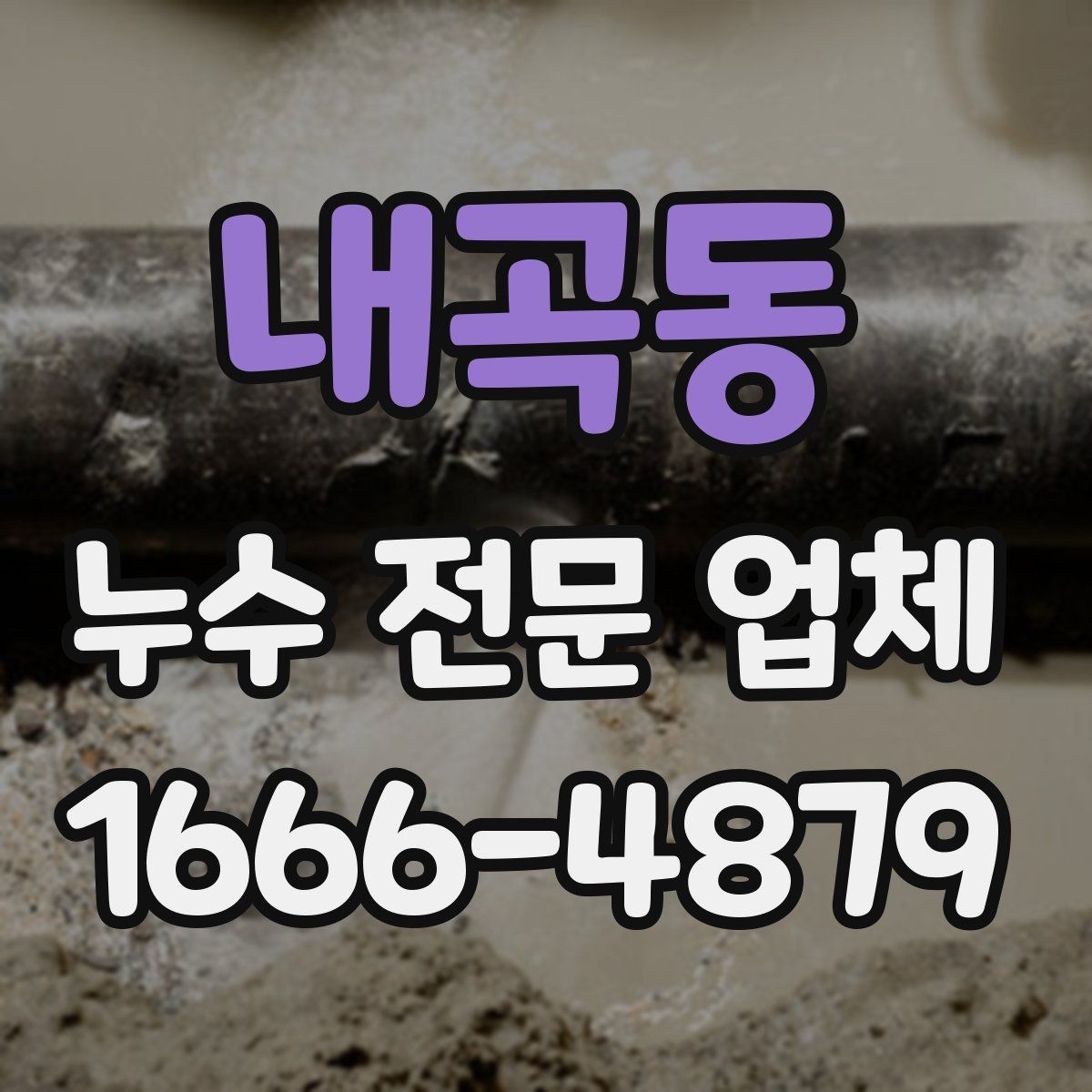 내곡동 누수 전문 업체