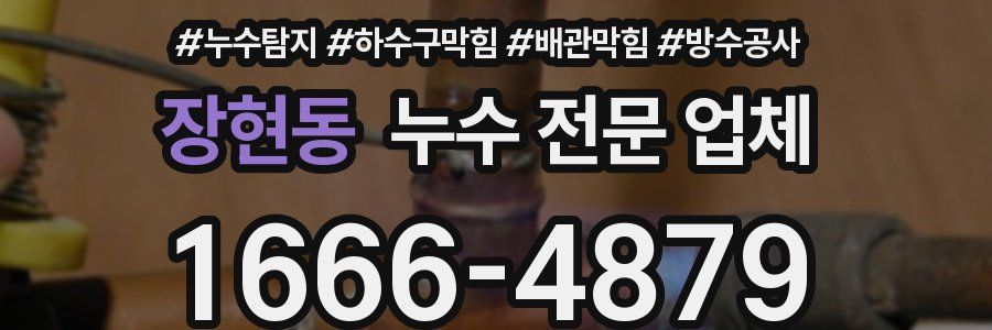장현동 누수 전문 업체