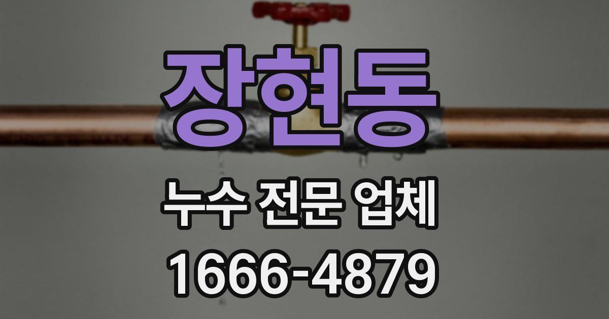 장현동 누수 전문 업체