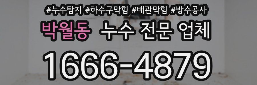 박월동 누수 전문 업체