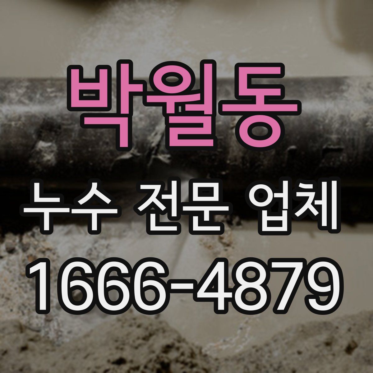 박월동 누수 전문 업체