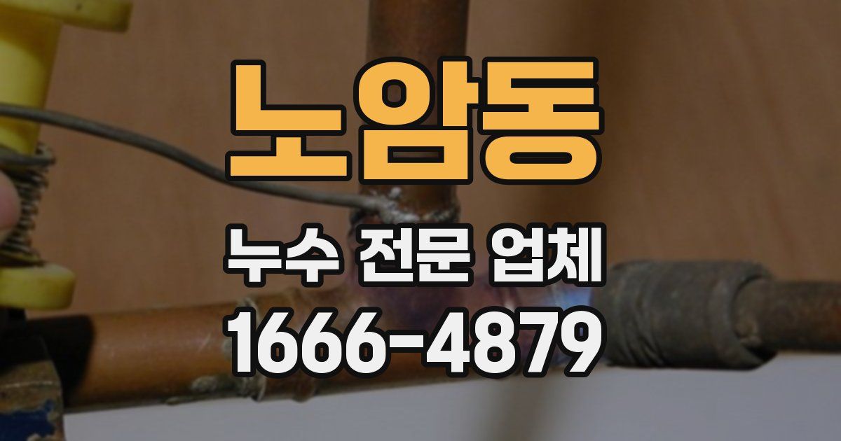 노암동 누수 전문 업체