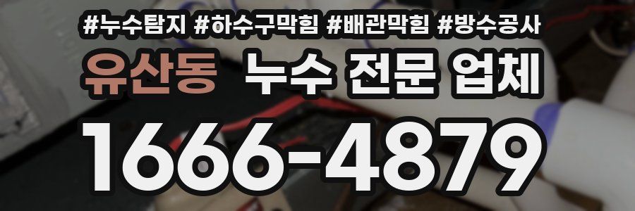 유산동 누수 전문 업체