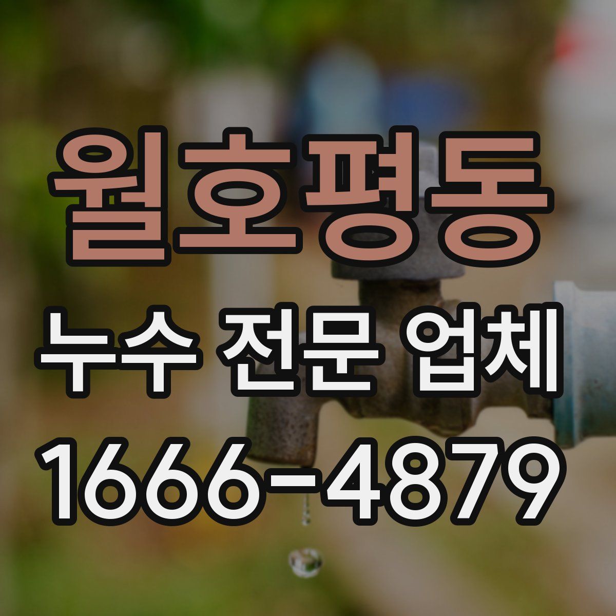 월호평동 누수 전문 업체