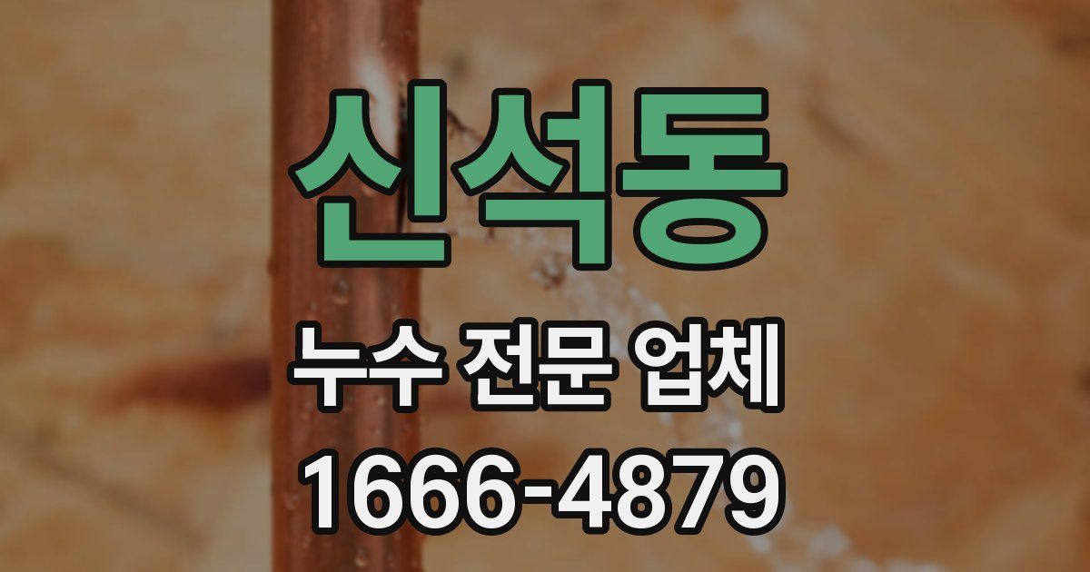 신석동 누수 전문 업체