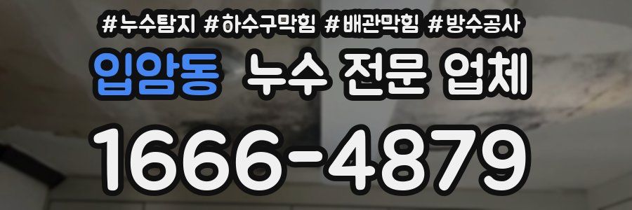 입암동 누수 전문 업체