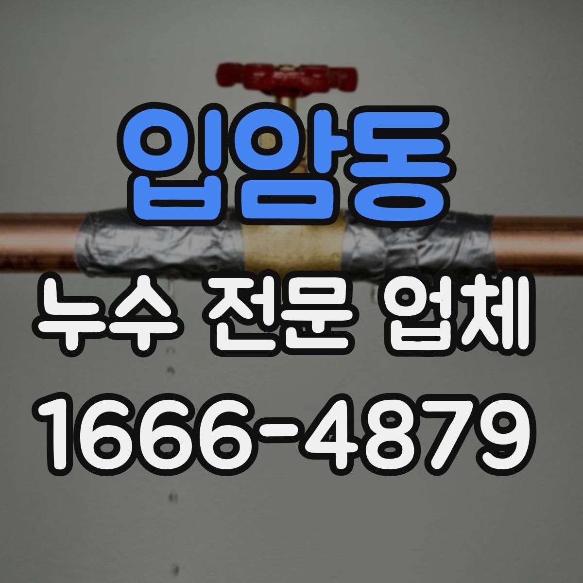 입암동 누수 전문 업체