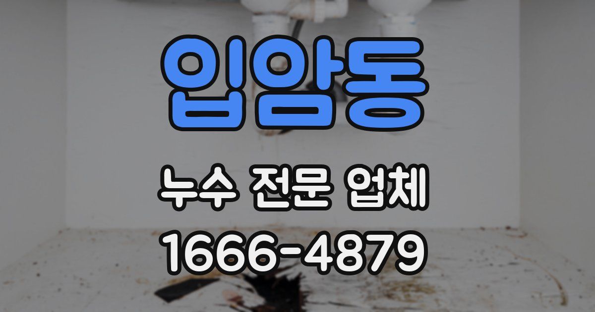 입암동 누수 전문 업체