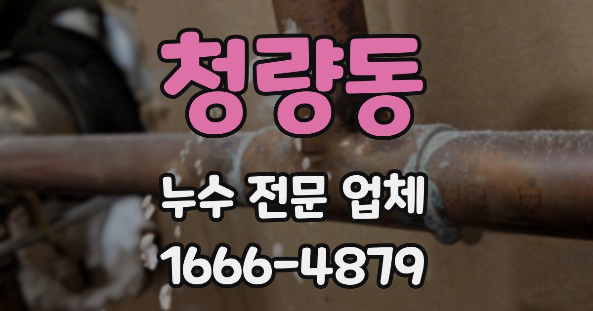 청량동 누수 전문 업체