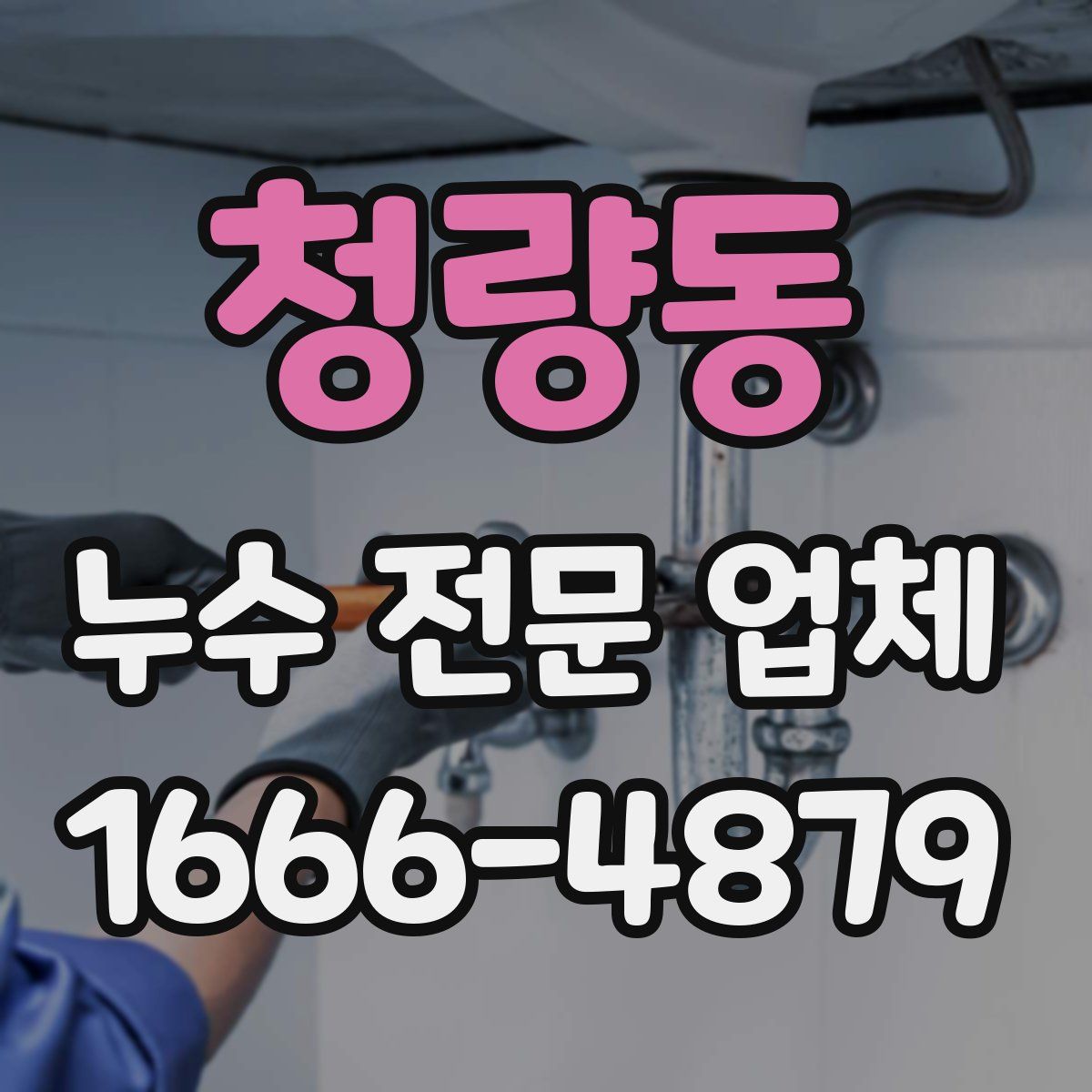 청량동 누수 전문 업체