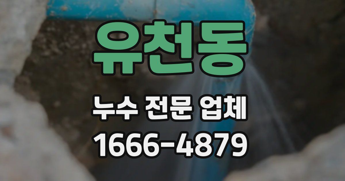 유천동 누수 전문 업체