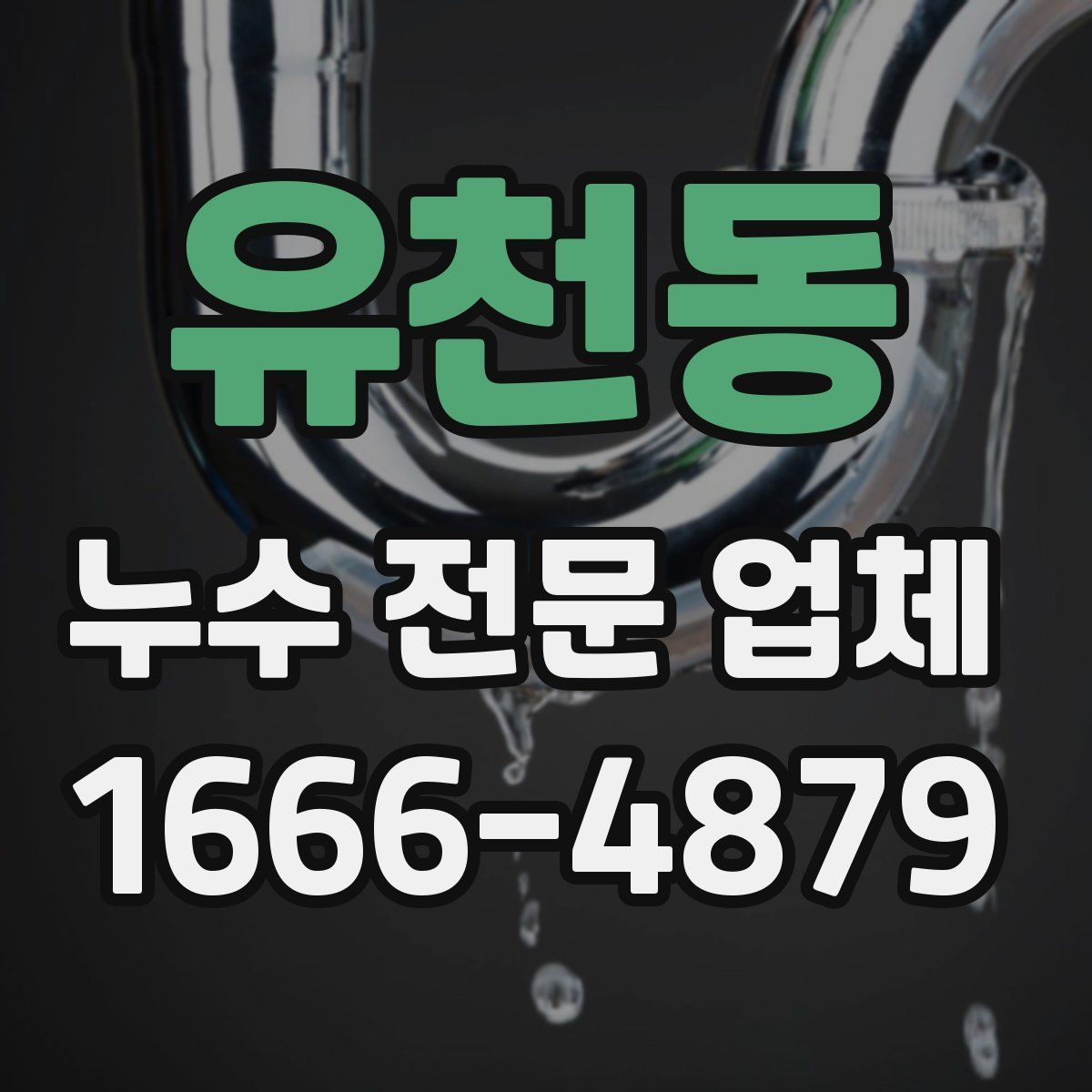 유천동 누수 전문 업체