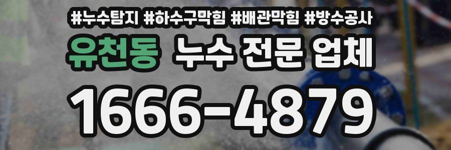유천동 누수 전문 업체