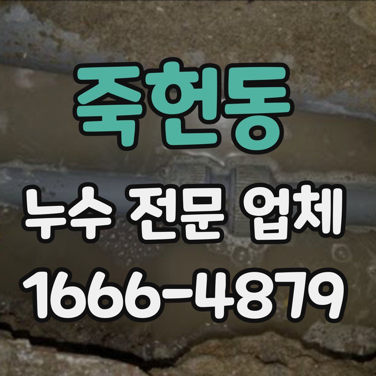 죽헌동 누수 전문 업체