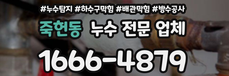 죽헌동 누수 전문 업체