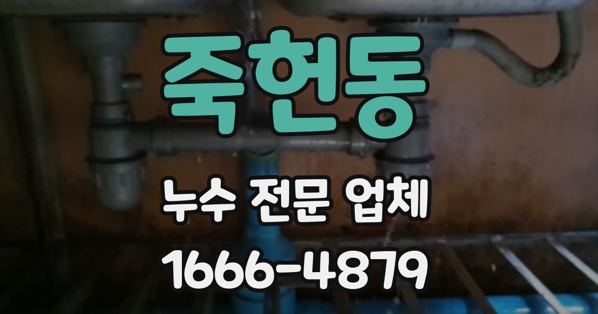 죽헌동 누수 전문 업체