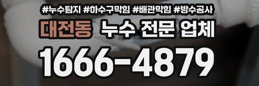 대전동 누수 전문 업체